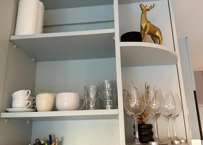 Apartament Art Rouaze Cannes