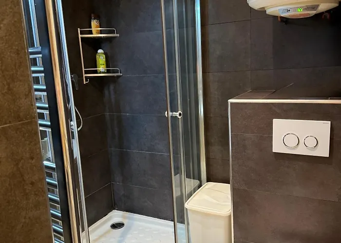 Apartament Art Rouaze Cannes